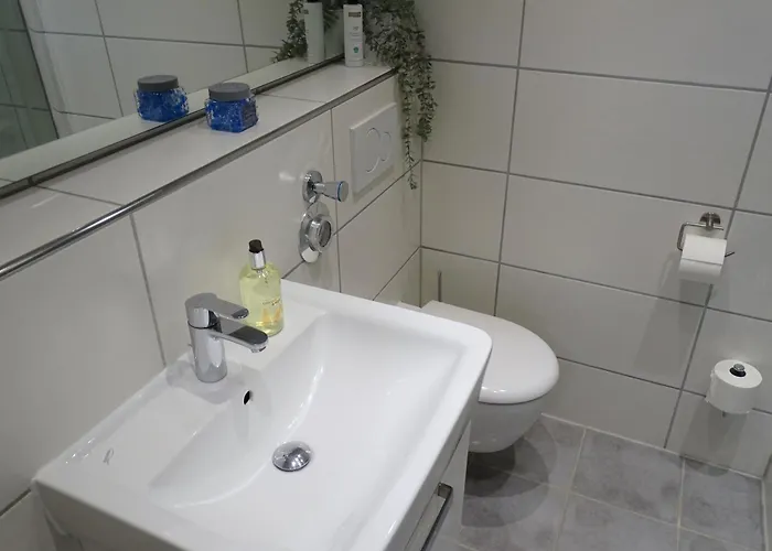 Berolina D 232 - Sturmmoewe